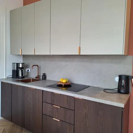 Elegancki Przy Rynku Apartament Katowice