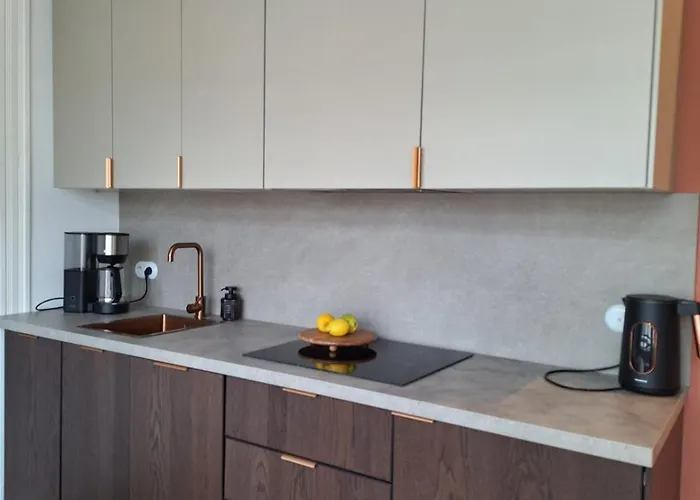 Elegancki Przy Rynku Apartament Katowice